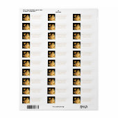 宗教的なイエス、メアリー、天使のクリスマスラベル ラベル (フルシート)