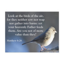 宗教的勇気付けられるはがき