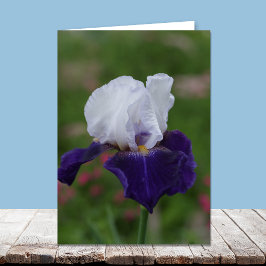 宗教的誕生日カード- – パープルアイリス カード