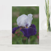 宗教的誕生日カード- – パープルアイリス カード (正面)