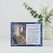 宗教、バリのヒンドゥー教 ポストカード (スタンド正面)