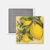官能的なレモン マグネット (正面/裏面)