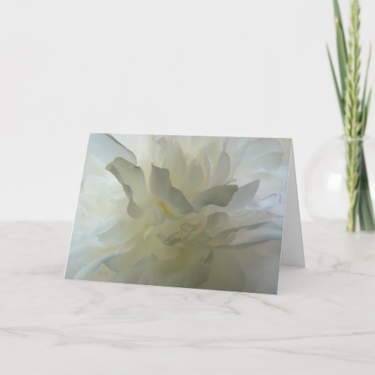 官能的な喜びAH2010 カード (正面)