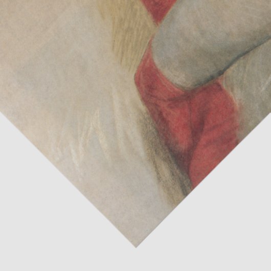 官能的な女性美しいと赤いストッキング 薄葉紙 (詳細)