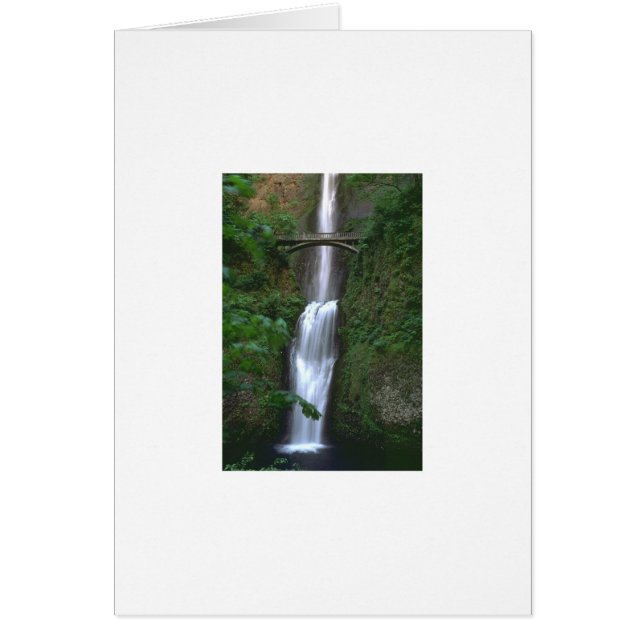 官能的な聖域 (正面)