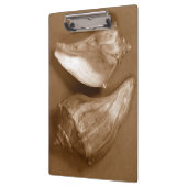 官能的な貝殻 クリップボード (左)