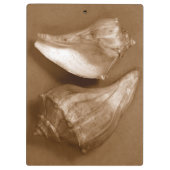 官能的な貝殻 クリップボード (裏面)