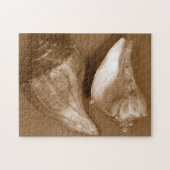官能的な貝殻 ジグソーパズル (横)