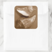 官能的な貝殻 スクエアシール (バッグ)