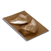 官能的な貝殻 ノートブック (右側)