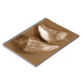 官能的な貝殻 ノートブック (左側)