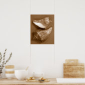 官能的な貝殻 ポスター (キッチン)