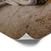 定年ホーム ポスター (角)