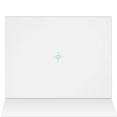 定年退職おめでとうございます！湖で釣りをするフラインゴーと男性 (内部横(上))