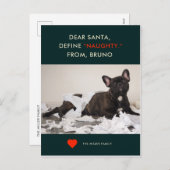 定義いけな | あなたのペットの写真おもしろいホリデーカード シーズンポストカード (正面/裏面)