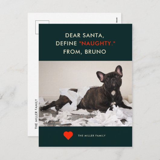 定義いけな | あなたのペットの写真おもしろいホリデーカード シーズンポストカード (正面/裏面)