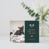 定義いけな |おもしろい犬の写真 シーズンポストカード (スタンド正面)