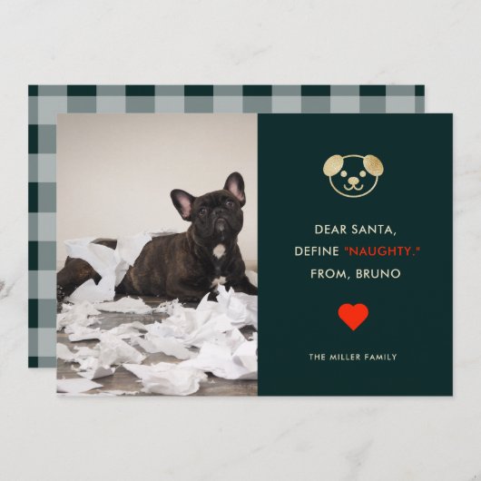 定義いけな |おもしろい犬フォトホリデーカード シーズンカード (正面/裏面)