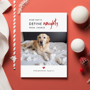 定義いけな  おもしろい犬写真クリスマスカード シーズンカード