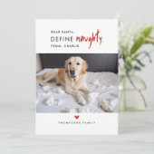 定義いけな |おもしろい犬写真クリスマスカード シーズンカード (スタンド正面)