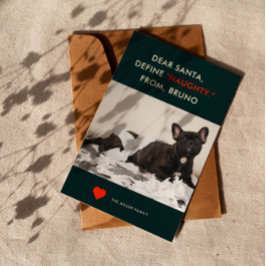 定義いけな |かわいいおもしろい犬写真 シーズンカード