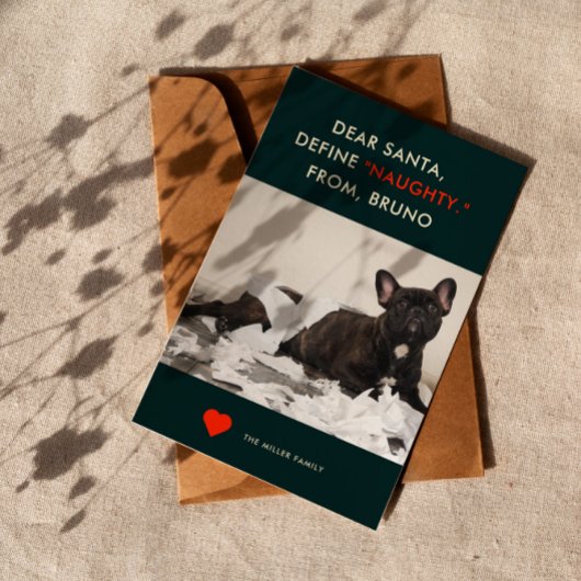 定義いけな |かわいいおもしろい犬写真 シーズンカード