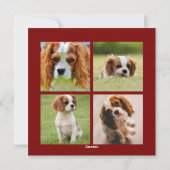 定義いけな | 5フォトコラージュ |クリスマス シーズンカード (裏面)