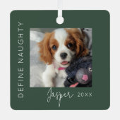 定義いけな | 5フォトコラージュ メタルオーナメント (正面)