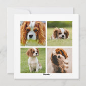 定義いけな | 5フォトコラージュ |父の日 シーズンカード (裏面)