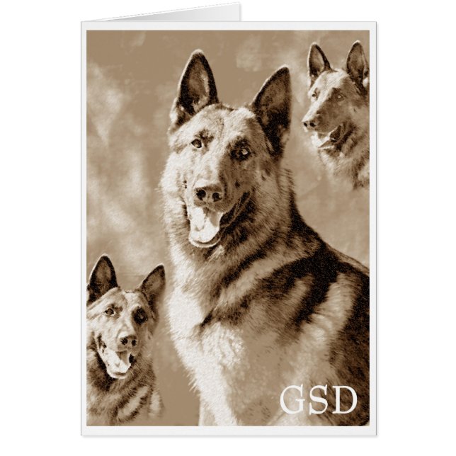 定義されるGSD (正面)