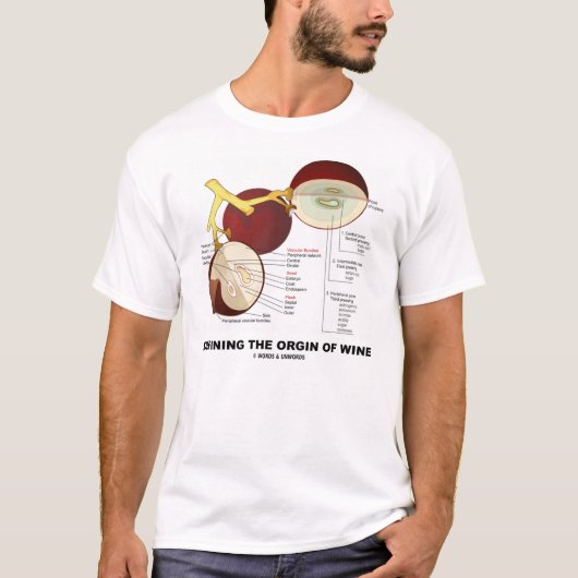 定義しますワイン(ブドウ酒用ブドウの果実)の起源を Tシャツ (正面)