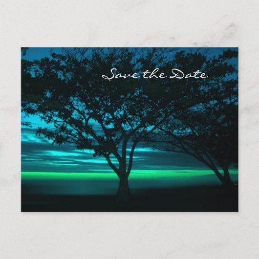 宛先ウェディング日付の保存 案内ポストカード (正面)