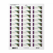 宛名ラベル – ヴィンテージ孔雀、羽根エッチング ラベル (フルシート)