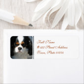 宛名ラベル–2 カスタマイズ -  ラベル (インサイチュ)