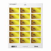 宝石で覆われたジンジャーブレッドハウス ラベル (フルシート)