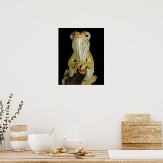 宝石で飾られたカメレオン、またはカンパンのカメレオン ポスター (キッチン)