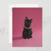 宝石で飾られたネックレスを着た黒い子猫 ポストカード (正面/裏面)