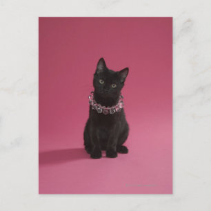 宝石で飾られたネックレスを着た黒い子猫 ポストカード