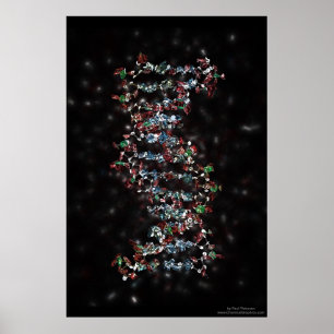 宝石で飾られたDNA ポスター