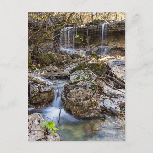 宝石の保存空白のポストカード ポストカード (正面)