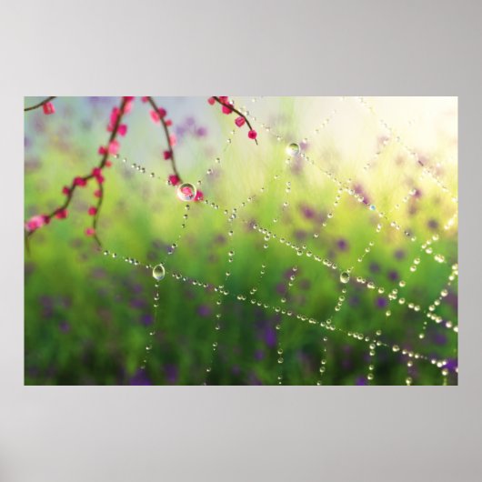 宝石の春朝プリント ポスター (正面)