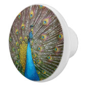 宝石の色調のクジャックアート セラミックノブ (右)