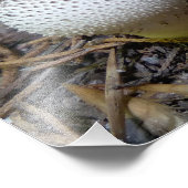 宝石をちりばめたパフボール フォトプリント            (角)