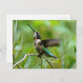 宝石アドーン ポストカード (正面/裏面)