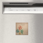 宝石大切 マグネット (インサイチュ (食洗機))