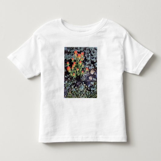 宝石湖のミニチュアガーデン トドラーTシャツ (正面)