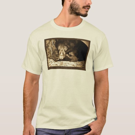 宝石2012年1月22日 Tシャツ (正面)