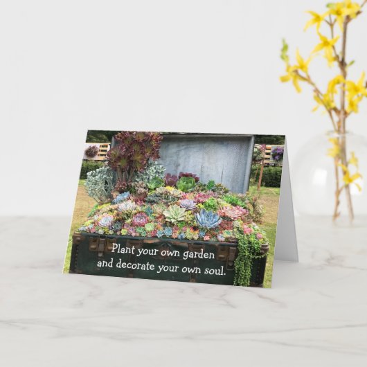 宝箱の多肉類 カード (黄色い花)