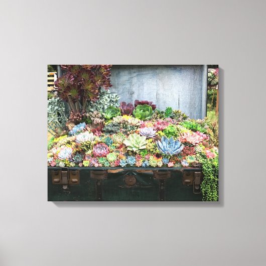 宝箱の多肉類 キャンバスプリント (正面)