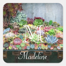 宝箱の多肉類 スクエアシール